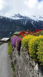 Scenic view of landscape against cloudy sky