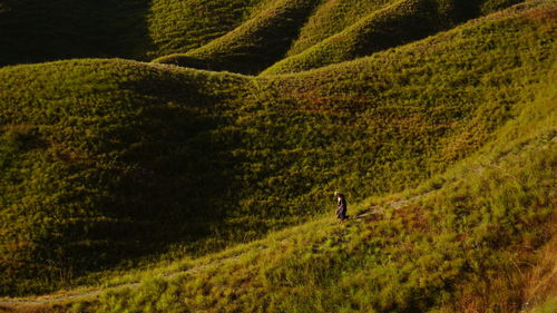 Scenic view of landscape with people walking on grass against sky