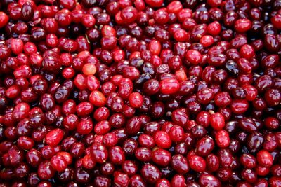 Full frame shot of cranberries