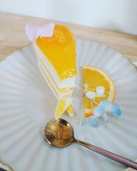 High angle view of shell on table