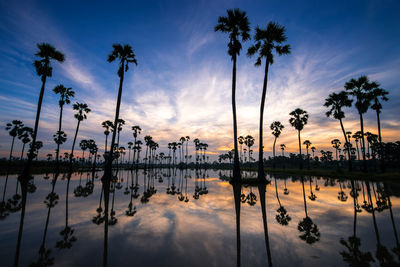 Silhouette palm trees by lake against sky during sunset