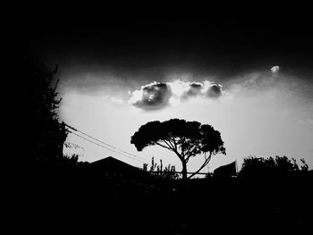 Low angle view of silhouette trees against sky at night