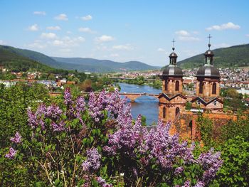 Close-up of plants against mountain range