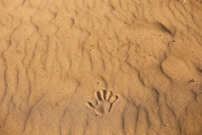 Handprint on the sand. close up of one handprint in the sand, sea on the beach. copy space.