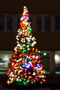 Illuminated christmas tree at night