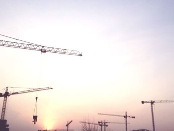Low angle view of crane at sunset