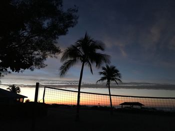 Silhouette trees on beach against sky at sunset