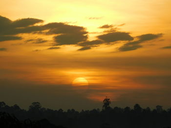 Scenic view of silhouette trees against orange sky