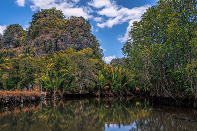Trees by lake against sky
