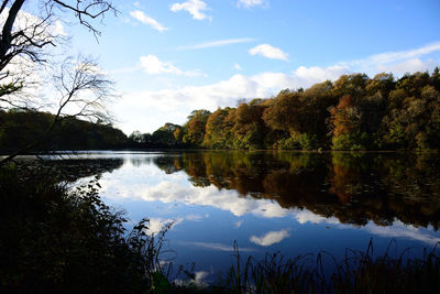 Reflection of trees in lake against sky