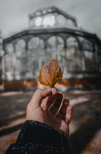 Close-up of hand holding leaf