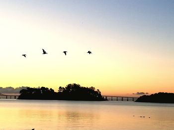 Silhouette birds flying over lake against sky during sunset