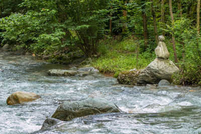 River flowing through rocks in forest