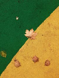 High angle view of yellow maple leaf on beach