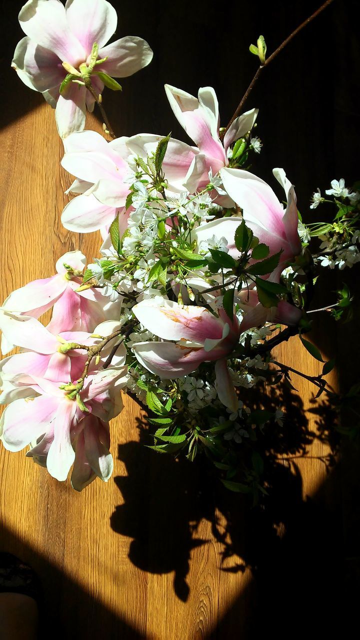 flower, freshness, fragility, petal, beauty in nature, growth, flower head, pink color, nature, vase, plant, blossom, blooming, in bloom, indoors, close-up, flower pot, stem, potted plant, white color