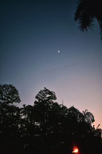 Low angle view of silhouette trees against sky at night