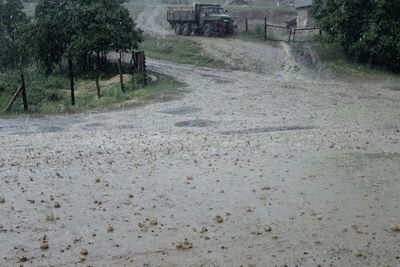 Dirt road amidst field and trees