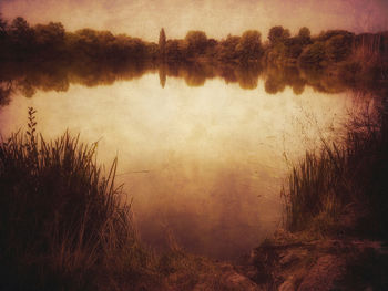 Scenic view of lake in forest against sky