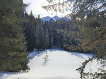 Scenic view of snowcapped mountains during winter