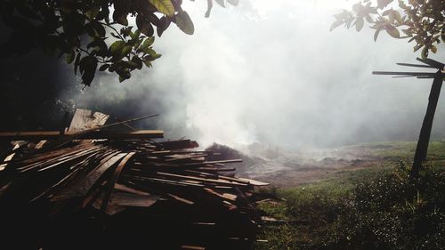 Heap of woods with smoke