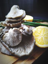 Close-up of mushrooms on table