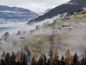 Panoramic view of trees and mountains against sky