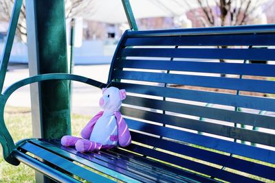 Pig on a bench