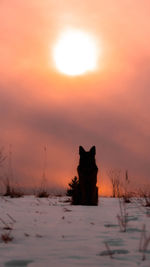 View of a horse on snow covered field during sunset