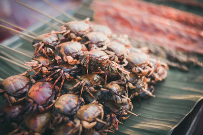 Close-up of crabs on banana leaf