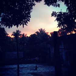 Silhouette of trees against sky at sunset