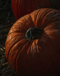 Close-up of pumpkin