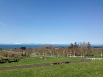 Scenic view of field against clear blue sky