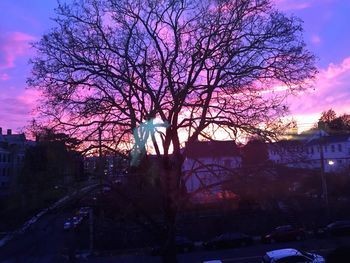 Bare trees against sky at sunset