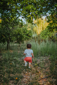 Rear view of boy sitting on land