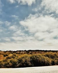 Trees on field against cloudy sky