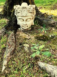 Statue of buddha on field