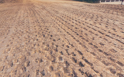 Full frame shot of sand dune