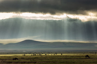 Scenic view of landscape against cloudy sky