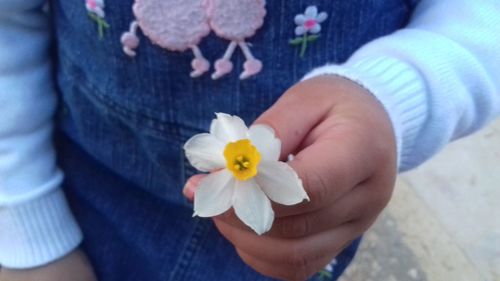 Close-up of hand holding flower