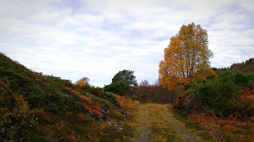 Scenic view of trees against sky during autumn