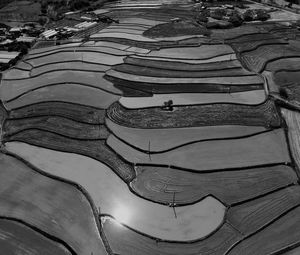 Full frame shot of wood