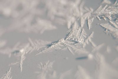 View of snow covered street