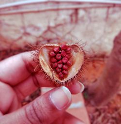 Close-up of hand holding strawberry