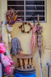 Close-up of cat hanging on window