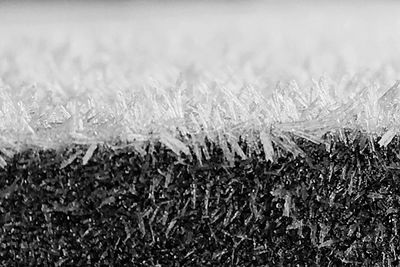 Full frame shot of frozen plants on field