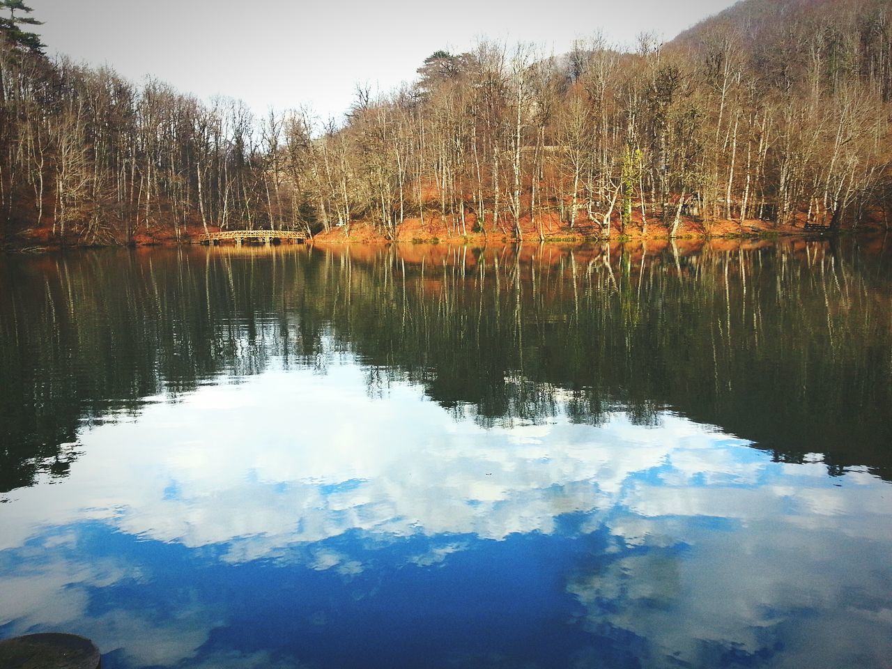 water, reflection, lake, tranquil scene, tranquility, scenics, tree, waterfront, beauty in nature, standing water, nature, sky, idyllic, calm, clear sky, outdoors, no people, day, non-urban scene, lakeshore