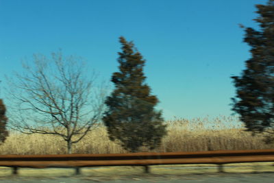 Bare trees on landscape against clear blue sky