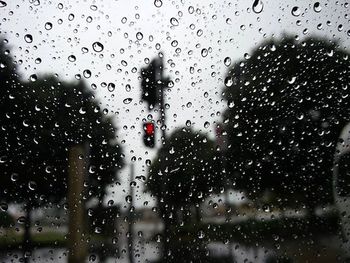 Close-up of water drops on glass