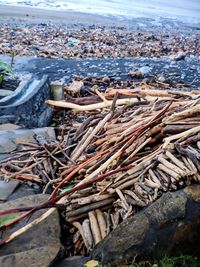High angle view of crab on beach