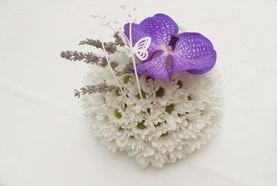 Close-up of flowers against white background